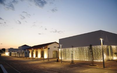 Visita Guiada no Museu Interativo do Megalitismo de Mora