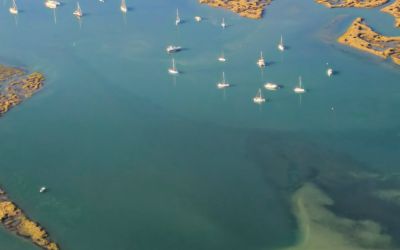 "Biodiversidade do Algarve"- Exposição de fotografia