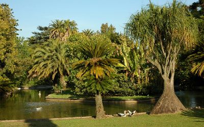 Jardim Botânico Tropical e Palácio Condes da Calheta 