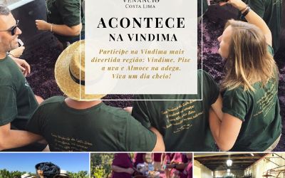 Acontece na Vindima