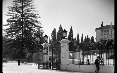 Oficina Fotografar Lisboa - Jardim da Estrela