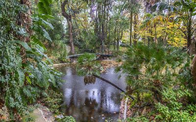 Jardim Botânico de Lisboa