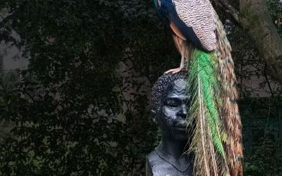 Re(Trata-me) - Visita-Oficina no Jardim Botânico Tropical